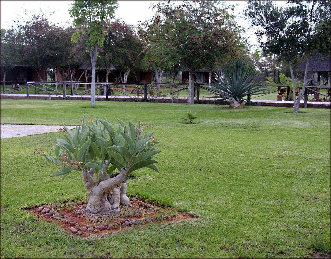 Grootfontein Fiume Lodge מראה חיצוני תמונה